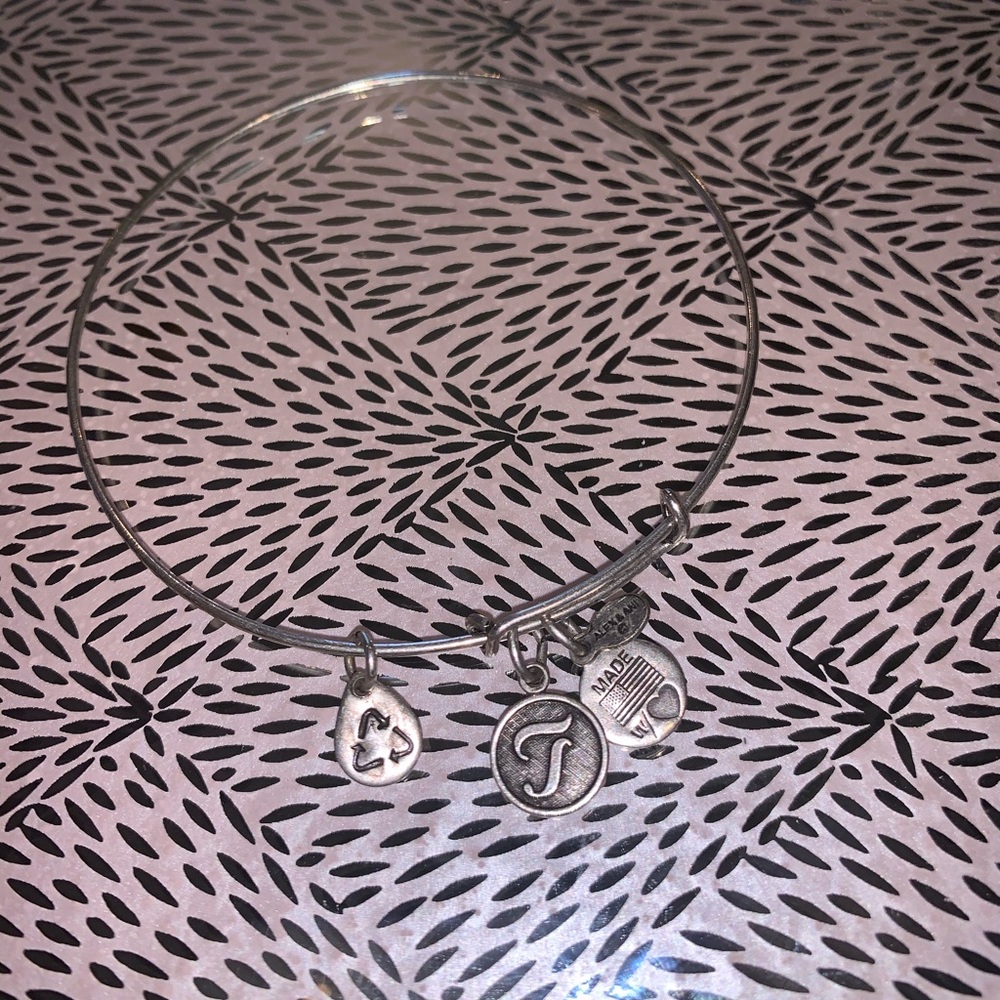 Alex and Ani Bangle Bracelet